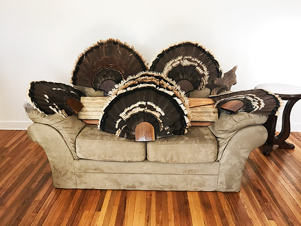 turkey-feathers-mounted-on-couch-in-richfield-minnesota